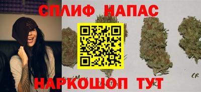mdpv Гай